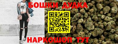 стаф Лесосибирск