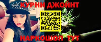 стаф Лесосибирск