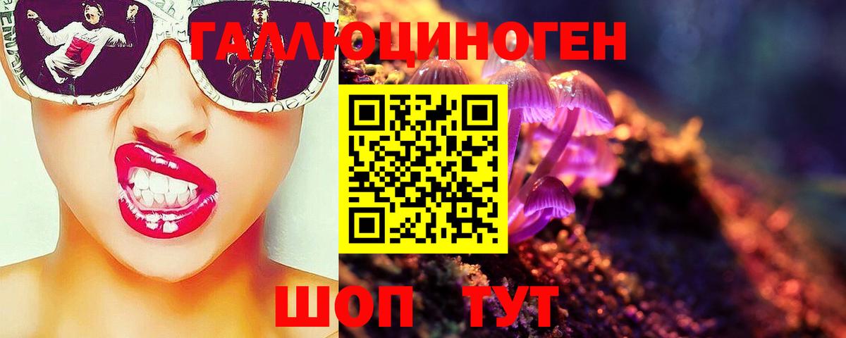 цены наркотик  Вход с VPN  Гусь-Хрустальный  Галлюциногенные грибы Cubensis 